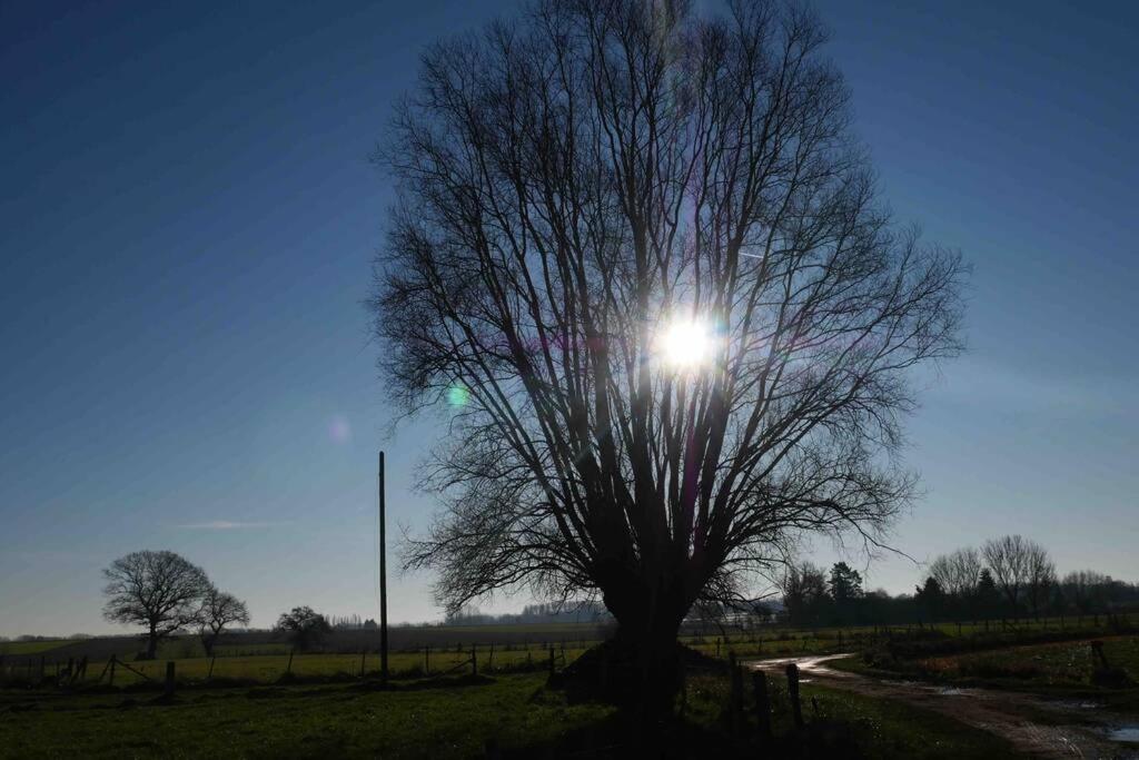 Gite L 'Ecurie A La Campagne Flines-Les-Mortagne ภายนอก รูปภาพ