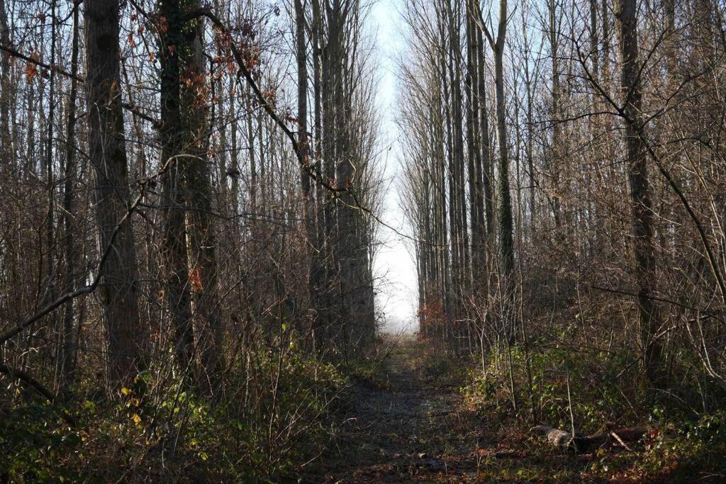 Gite L 'Ecurie A La Campagne Flines-Les-Mortagne ภายนอก รูปภาพ